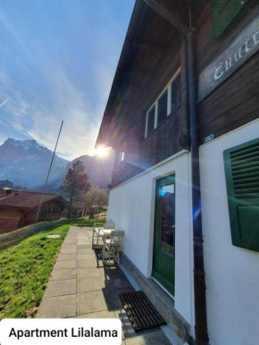 Apartment Lilalama Grindelwald